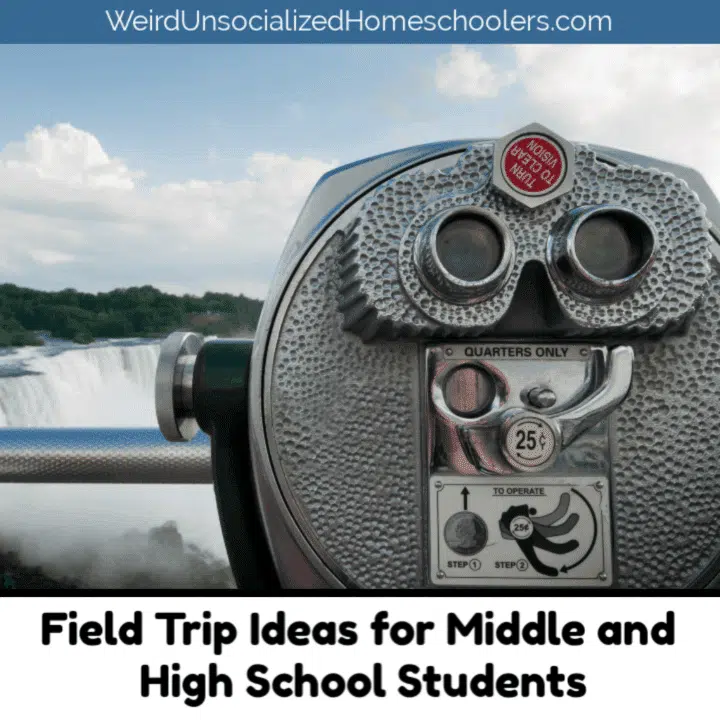 Field Trip Ideas for Middle and High School Students